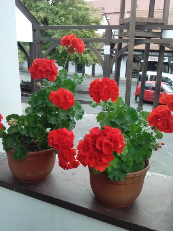 Julia Apartman إغير الغرفة الصورة
